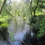 Great Egg Harbor Scenic & Recreation River