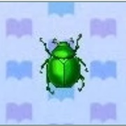 Fruit Beetle