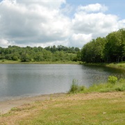 Oquaga Creek State Park, New York