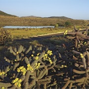 Point of Pines Sites