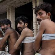 Actually Sell an Organ