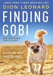 Finding Gobi (Dion Leonard)