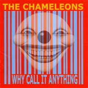 The Chameleons — Why Call It Anything?