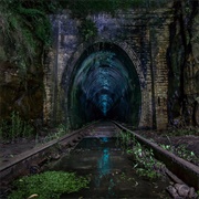 Helensburgh Glow Worm Tunnel