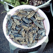 Cà Cuống (Lethocerus Indicus)