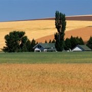 Saint John, Washington