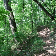 Sharp's Ridge Memorial Park, Knoxville, Tennessee
