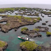 Snorkel in Los Túneles in Isabela Island, Galapagos