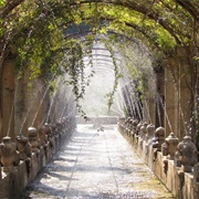 Jardins De Alfàbia, Mallorca