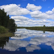 Schoolcraft State Park, Minnesota