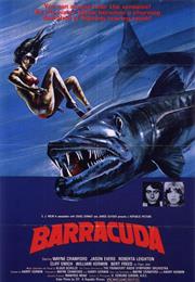 Barracuda
