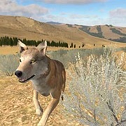 Wolfquest: Amethyst Mountain