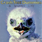 Crash Test Dummies: A Worm's Life