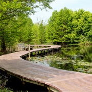 Shaw Nature Reserve, Missouri