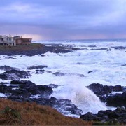Yachats Ocean Road State Natural Site, Oregon