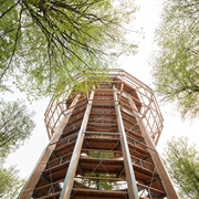Naturerbe Zentrum Rügen