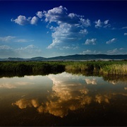 Tablas De Daimiel National Park, Spain