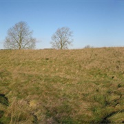 White Barrow, Wiltshire
