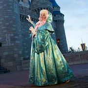 Fairy Godmother