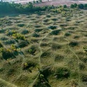 Grime's Graves, England 3000 - 1900 BC