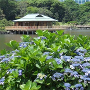 Hamarikyu Gardens