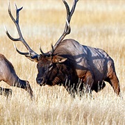 Conboy Lake National Wildlife Refuge