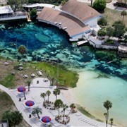 Weeki Wachee Springs