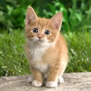 When They Give You That Look