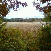 Cutler Park State Reservation, Massachusetts