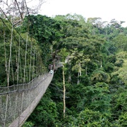 Parc Du Banco, Abidjan