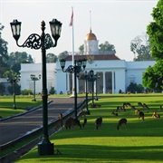 Istana Bogor