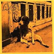 ACTIVE DOG - Rat Race