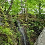 Nelson-Kennedy Ledges State Park, Ohio
