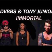 Dvbbs Immortal
