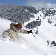 Ski Powder in the Vail Bowls