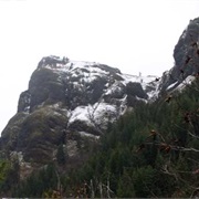 Saddle Mountain State Natural Area, Oregon