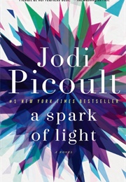 A Spark of Light (Jodi Picoult)