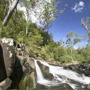Barrington Tops National Park (NSW)