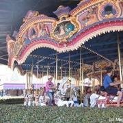 Prince Charming&#39;s Regal Carousel