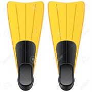 Flippers