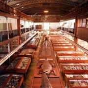 Wagner Free Institute of Science