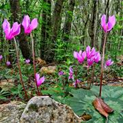 Circeo National Park