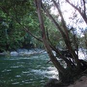 Russell River National Park (QLD)