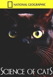 National Geographic Science of Cats (2010)