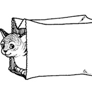 Everything Comes Out in Reinforcement