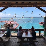 Savaneta Seafood, Aruba