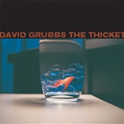 David Grubbs - The Thicket