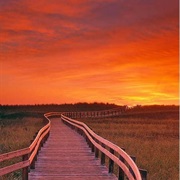 Kouchibouguac National Park