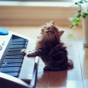 Keep Learning and Growing