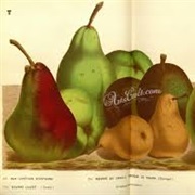 Baked Pears